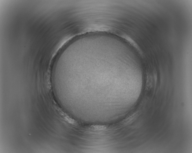 X0000062150878200512231529