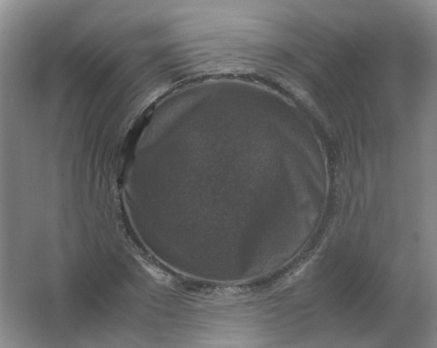 X0000062150881200512231529
