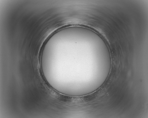 X0000062150887200512231529