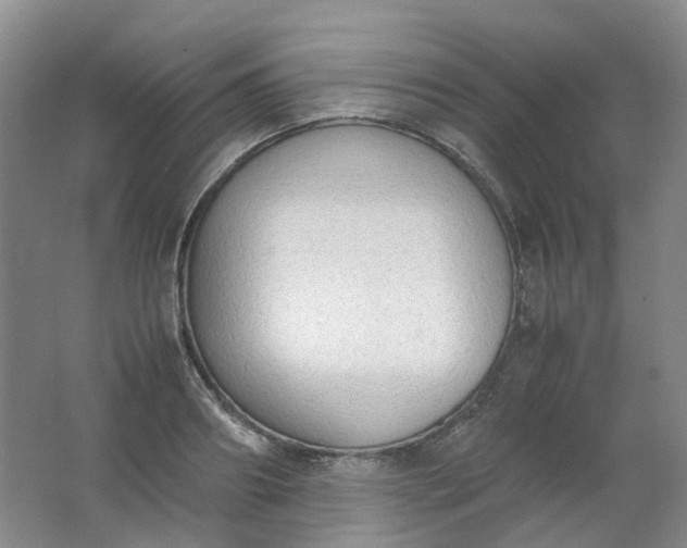 X0000062150890200512231529