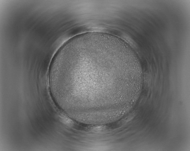 X0000062150891200512231529