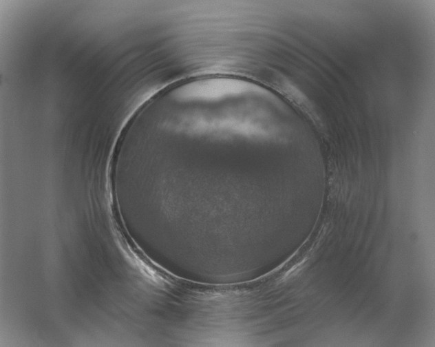 X0000062150892200512231529