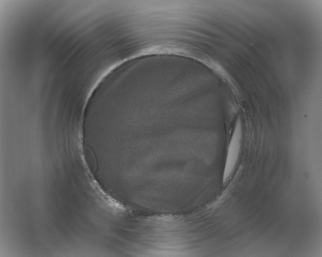 X0000062150896200512231529