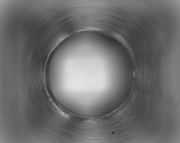 X0000062150898200512231529