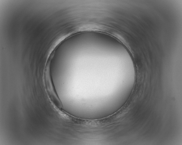 X0000062150901200512231529