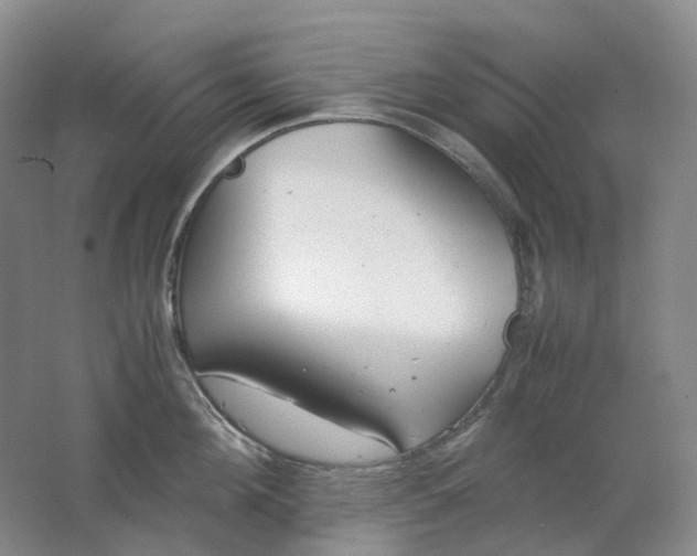 X0000062150908200512231529