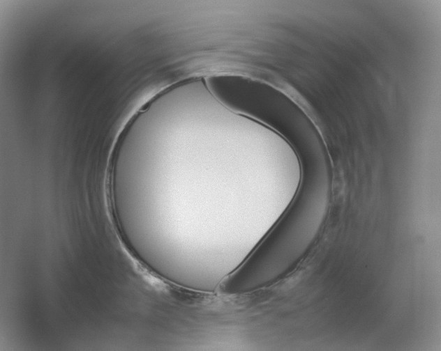 X0000062150909200512231529