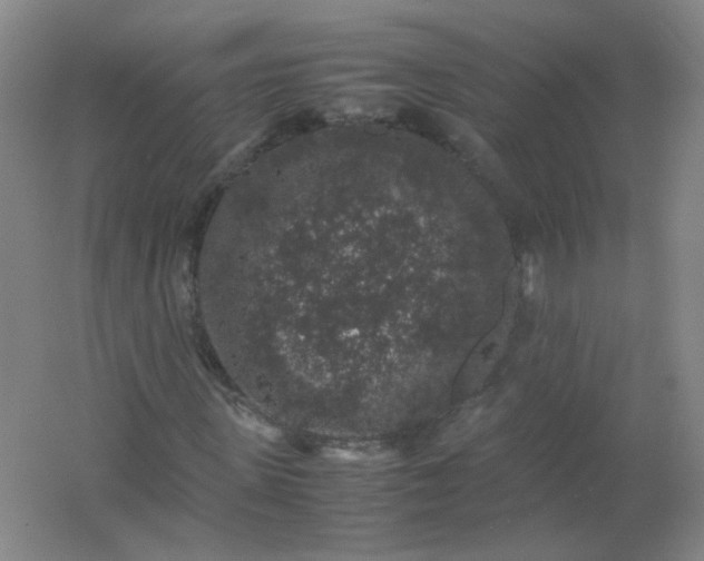 X0000062150915200512231528