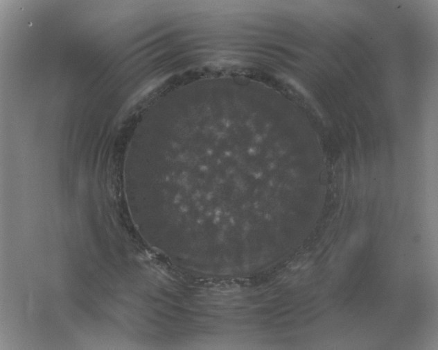 X0000062150919200512231528
