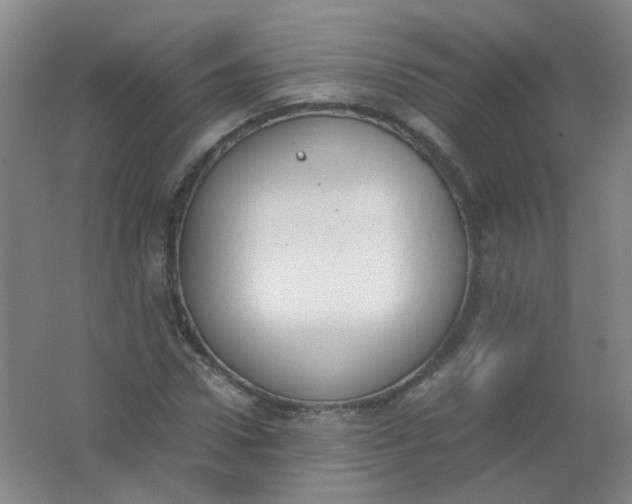 X0000062150922200512231528