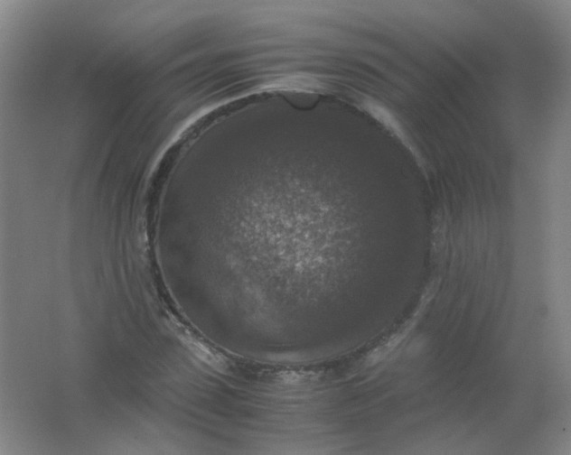 X0000062150923200512231528