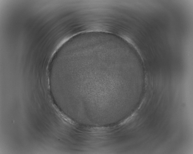 X0000062150925200512231528