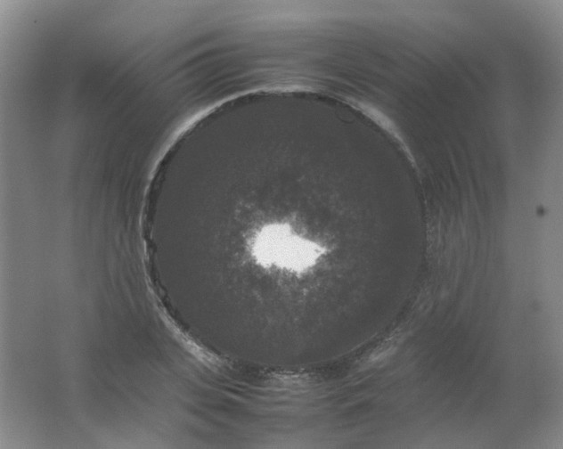 X0000062150935200512231528