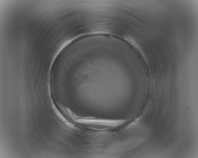 X0000062150941200512231528