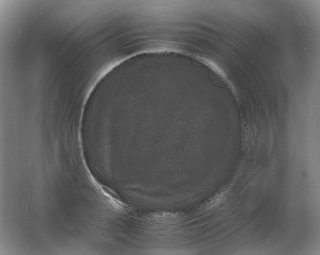 X0000062150943200512231528