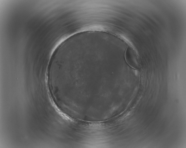 X0000062150944200512231528
