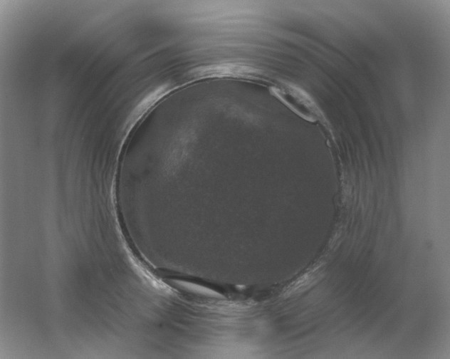 X0000062150946200512231528