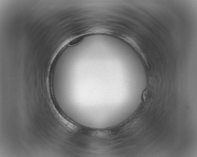 X0000062150947200512231528