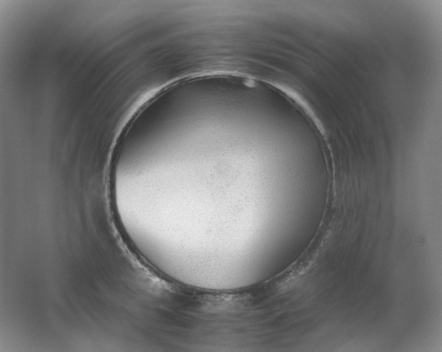X0000062150949200512231529