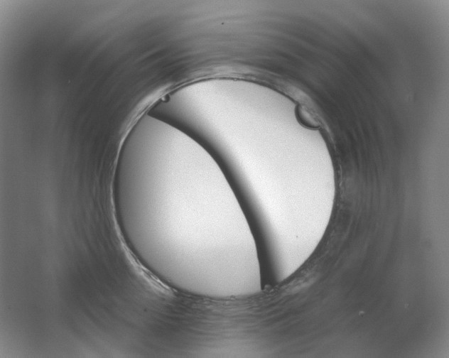 X0000062150954200512231529