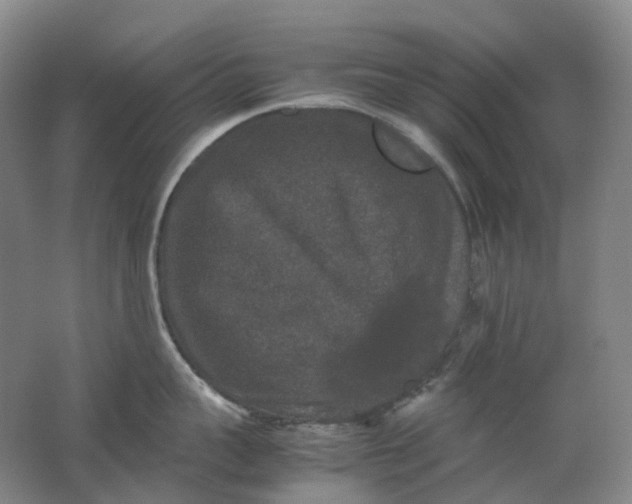 X0000062150959200512231529
