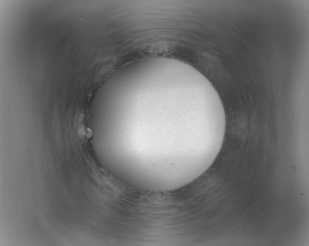 X0000062150962200512231528
