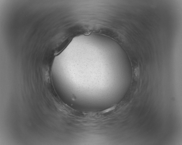 X0000062150963200512231528