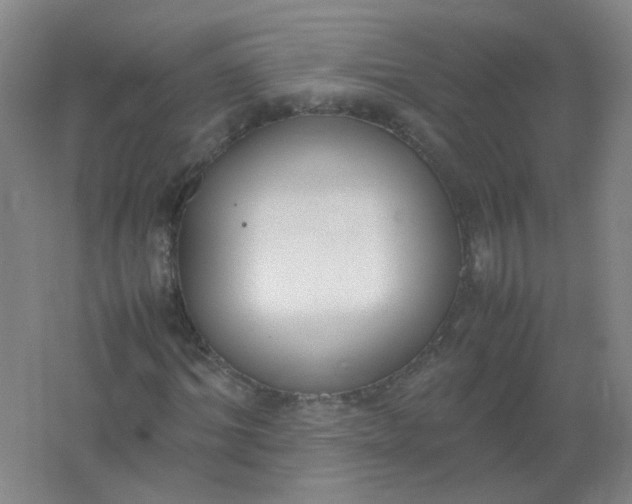 X0000062150964200512231528