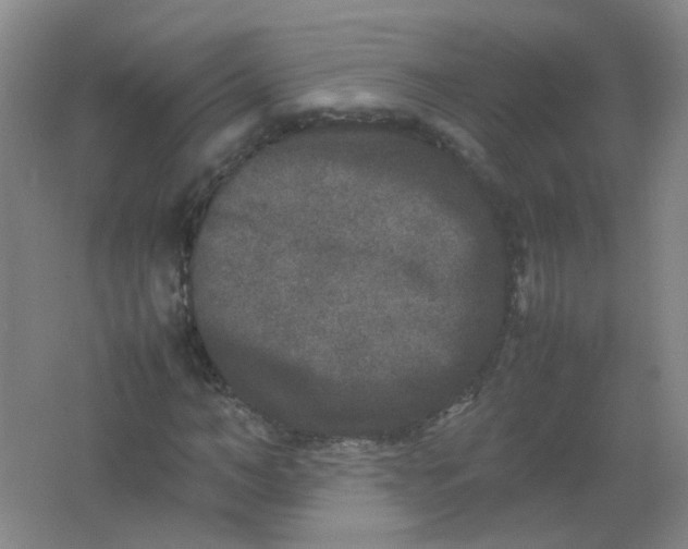 X0000062150966200512231528