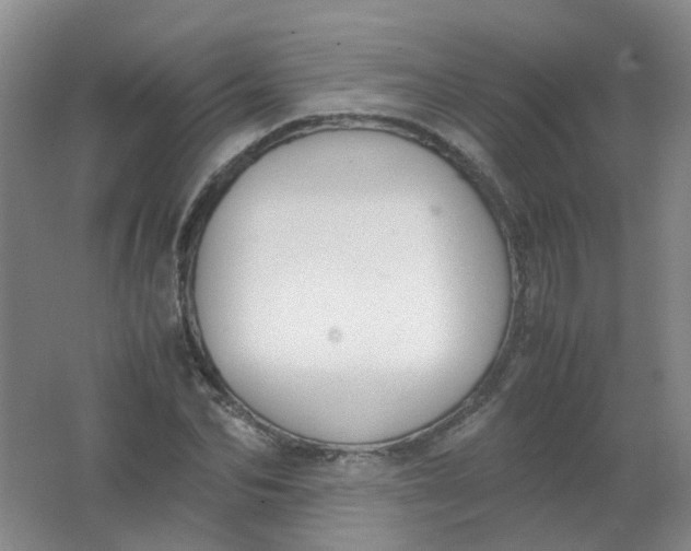 X0000062150974200512231528