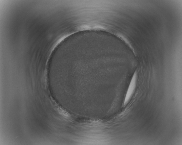 X0000062150975200512231528