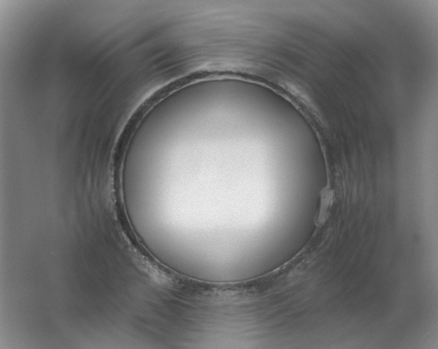 X0000062150976200512231528