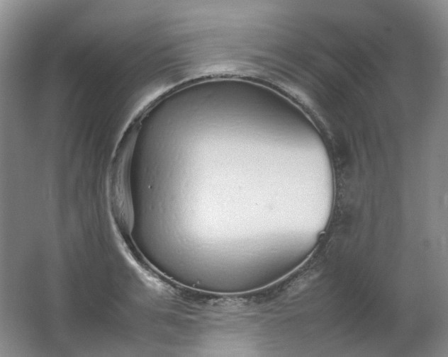 X0000062150991200512231527