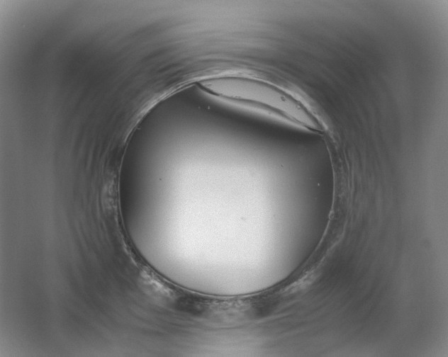 X0000062151001200512231527