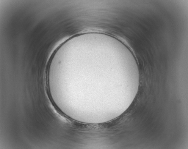 X0000062151003200512231527