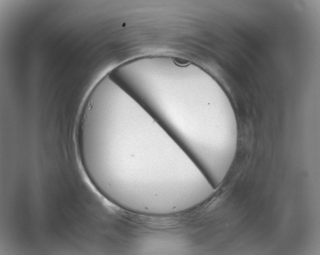 X0000062151007200512231527