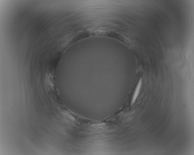 X0000062151010200512231526