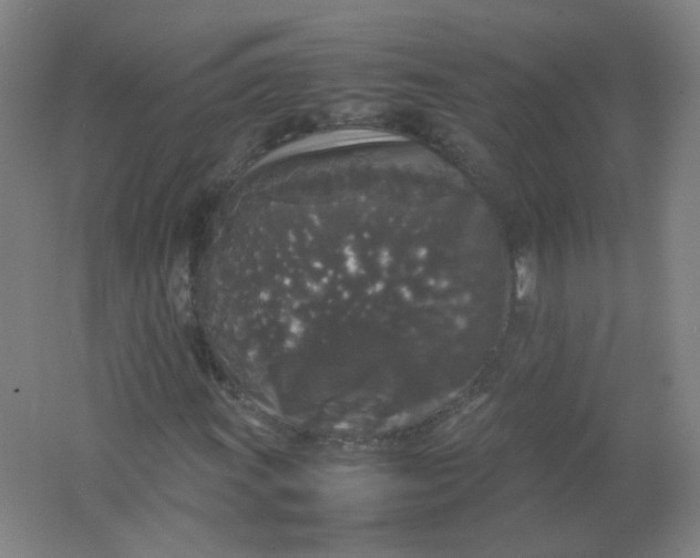X0000062151011200512231526