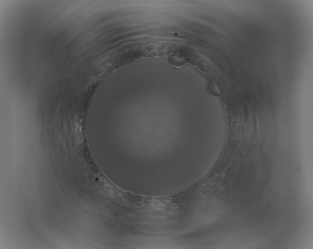 X0000062151013200512231526