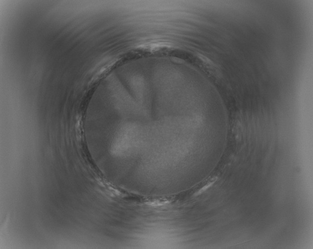 X0000062151014200512231526