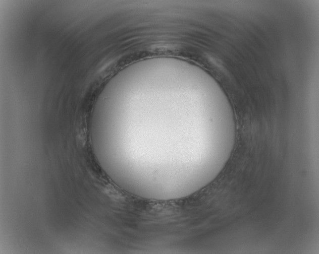 X0000062151015200512231526