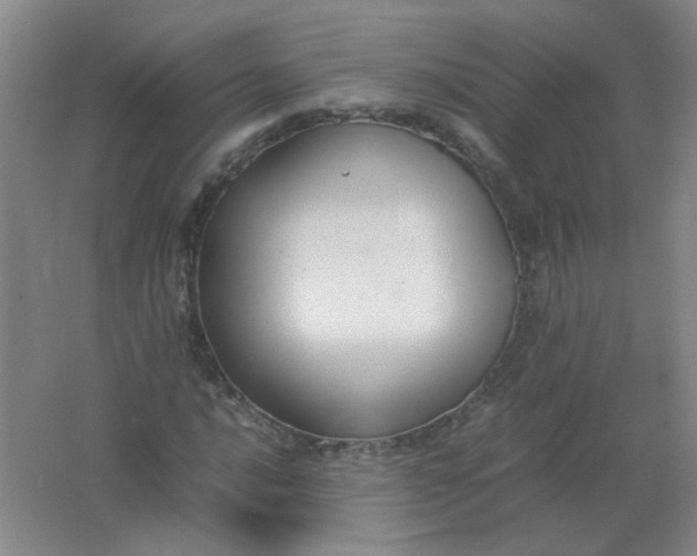 X0000062151016200512231526