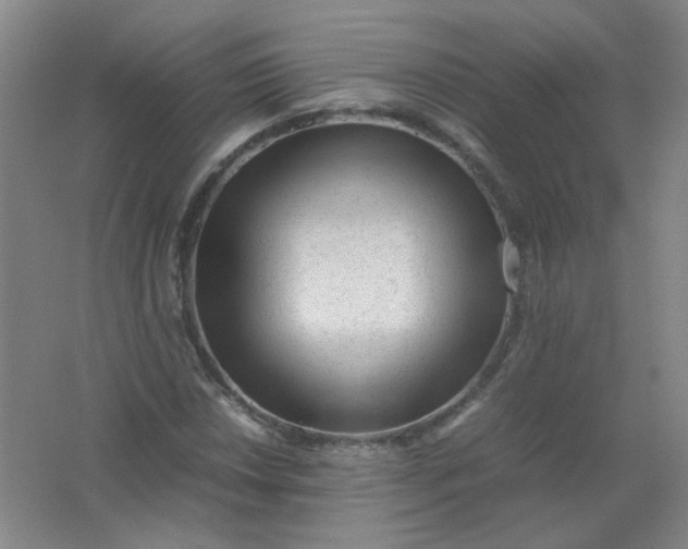 X0000062151018200512231526