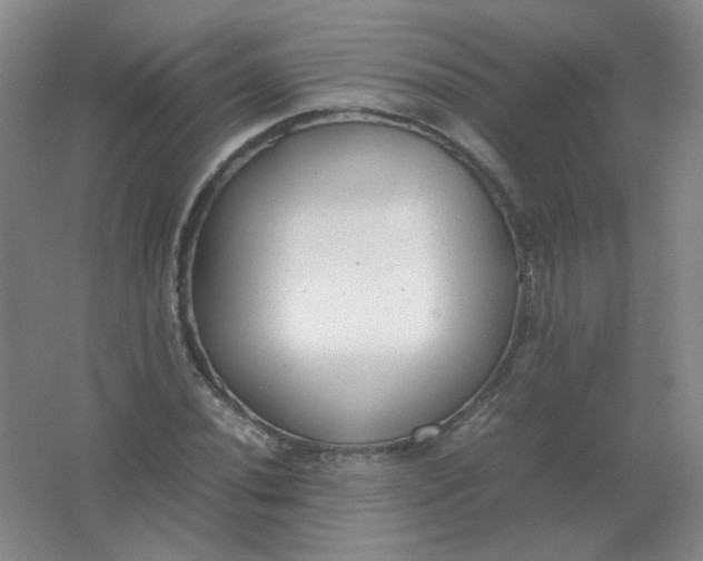 X0000062151020200512231526