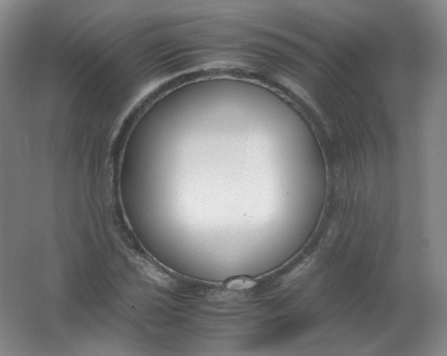 X0000062151021200512231526