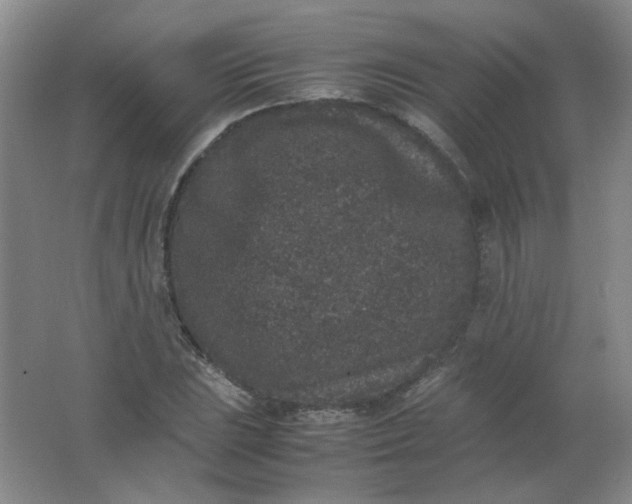 X0000062151023200512231526