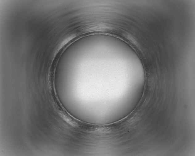 X0000062151026200512231526