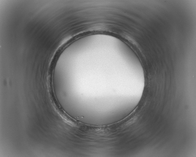X0000062151029200512231527