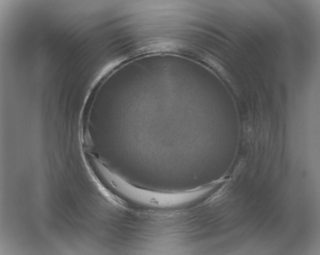 X0000062151034200512231527
