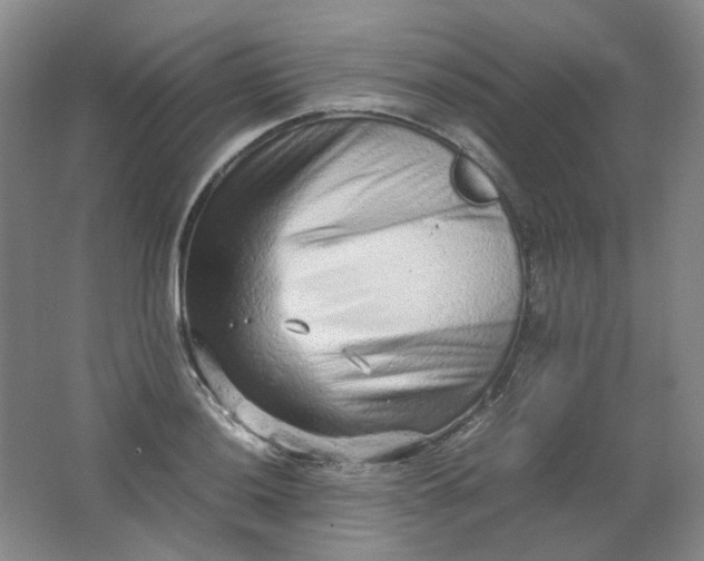 X0000062151036200512231527